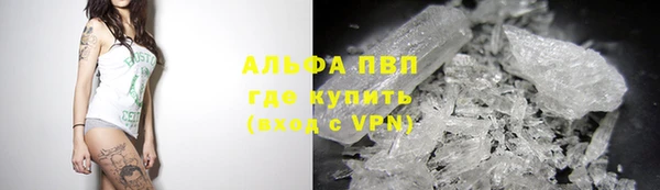 гашик Алексеевка