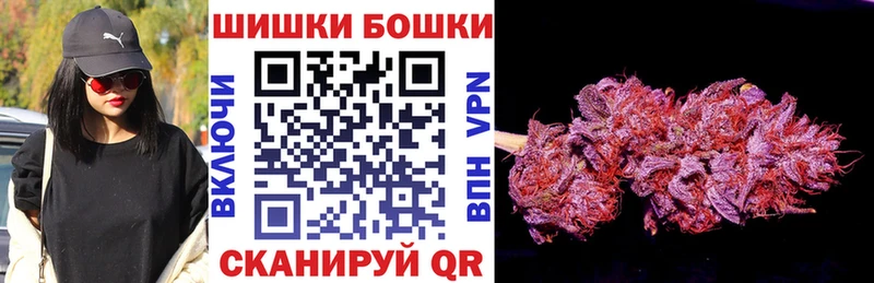 Шишки марихуана Amnesia  Сычёвка 